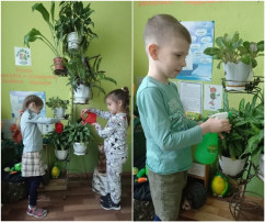 16.02.2024 «Эколята-дошколята Зелёные ладошки» 16.02.2024 «Эколята-дошколята Зелёные ладошки».